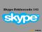 Skype Fehlercode 141 – Problemlösung